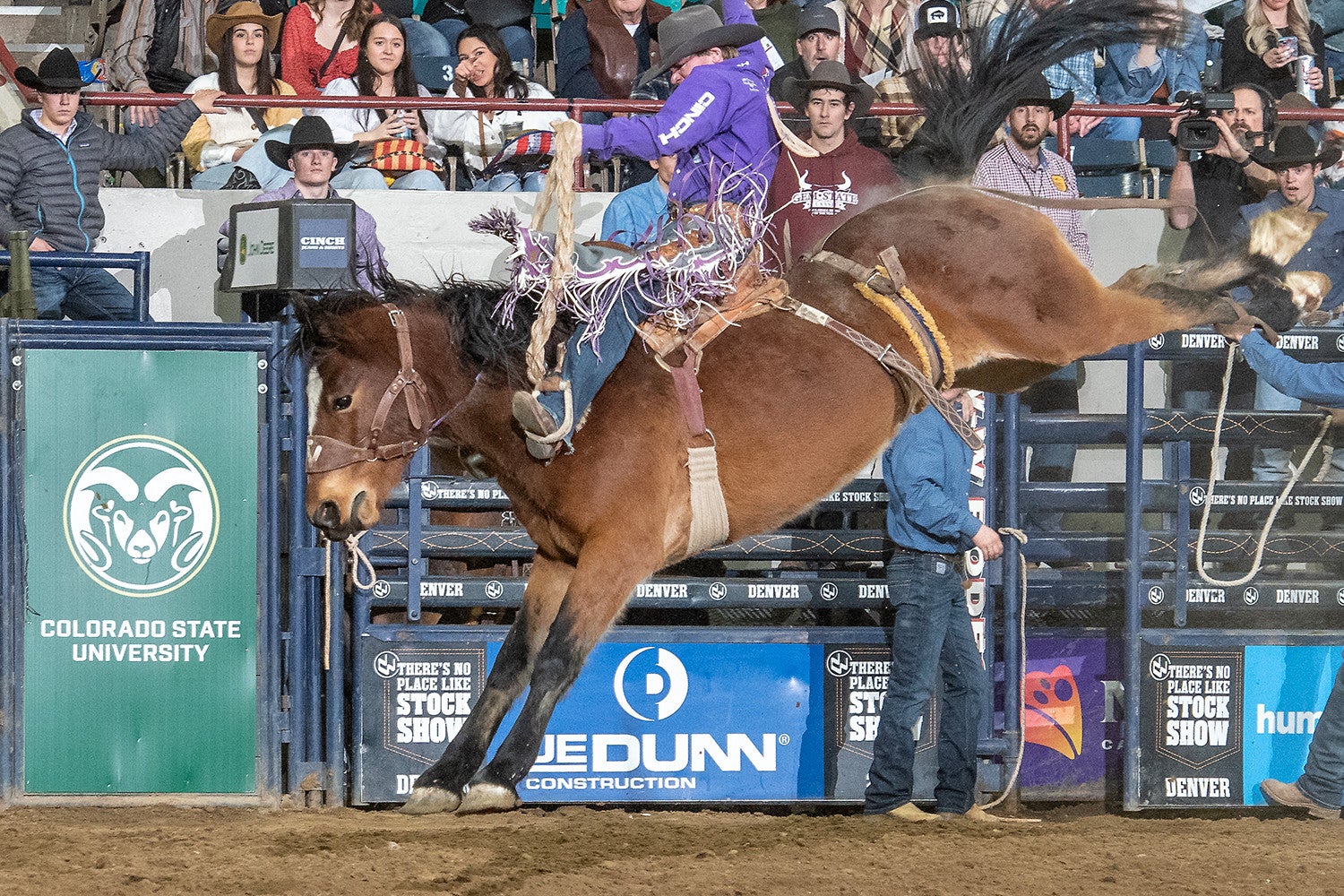 More Info for Pro Rodeo - CSU Performance