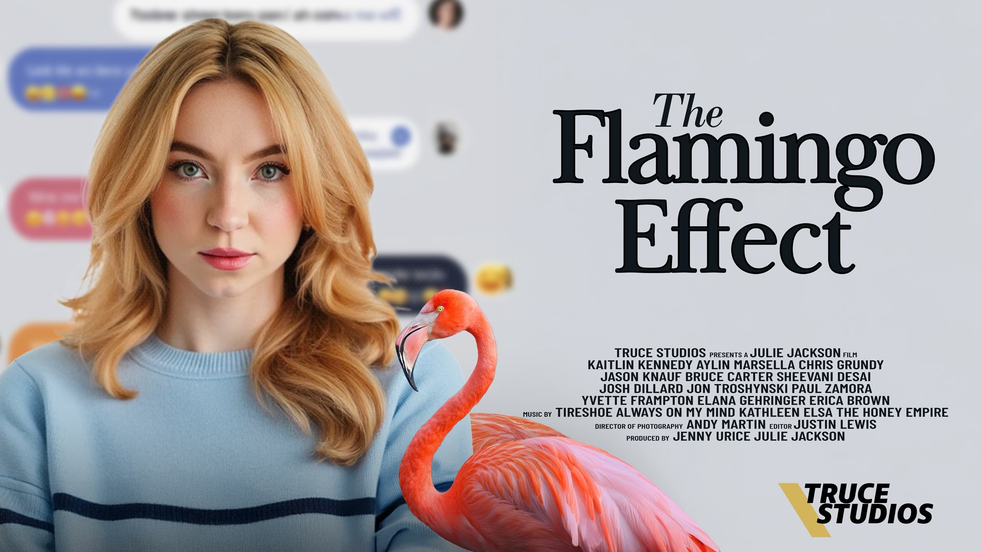 Truce Studios Presents: The Flamingo Effect