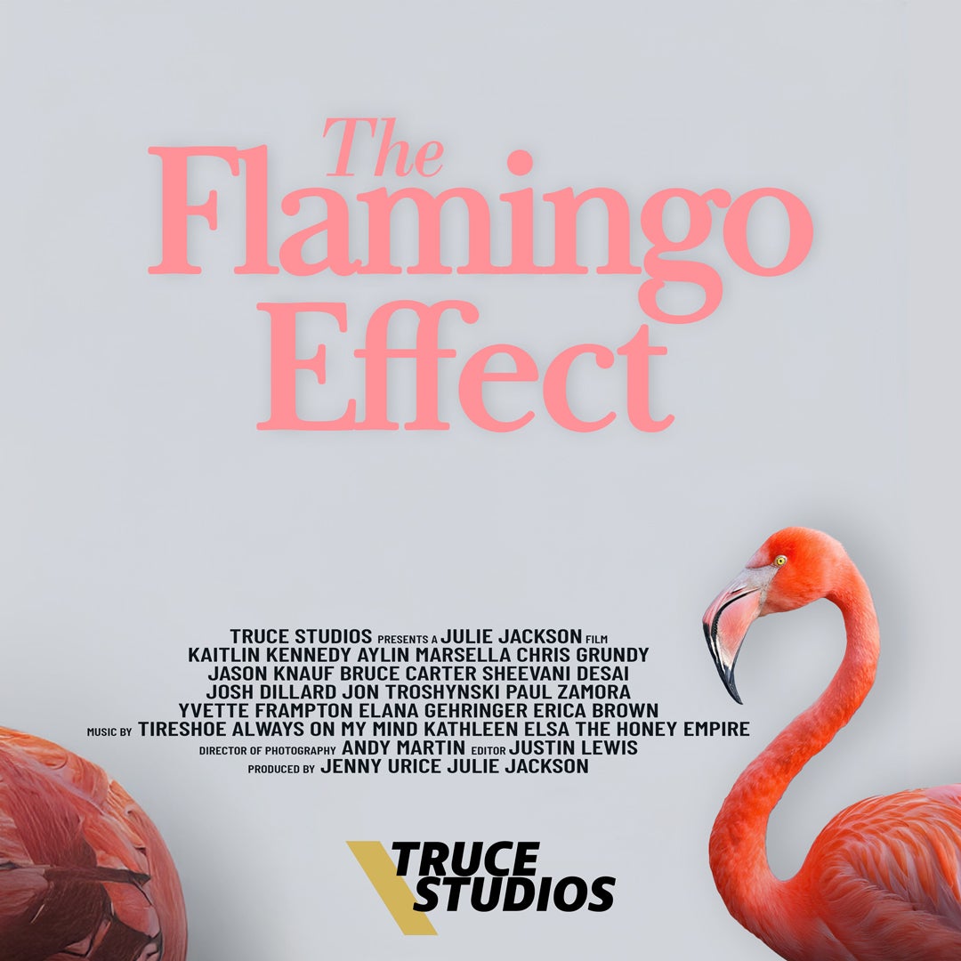 More Info for Truce Studios Presents: The Flamingo Effect