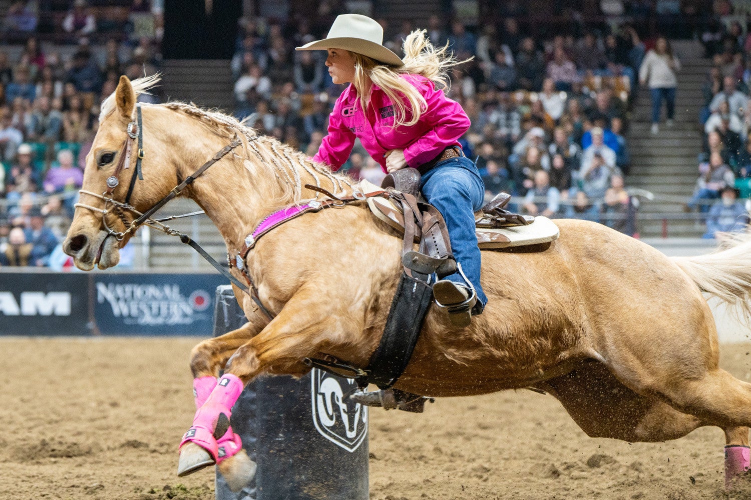 Pink Pro Rodeo