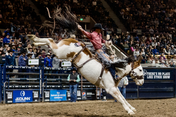 More Info for Pro Rodeo