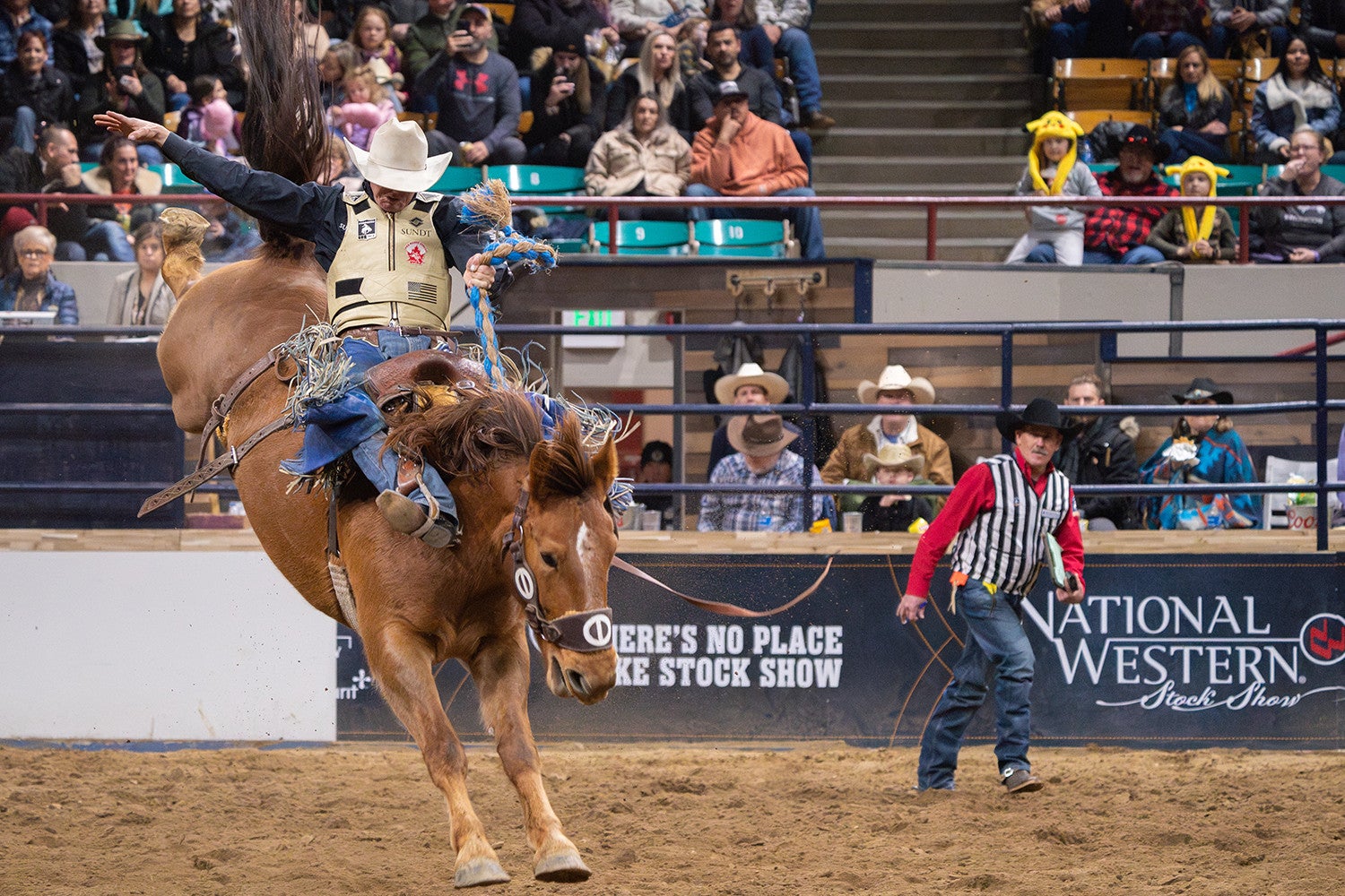 More Info for Pro Rodeo – FFA Day