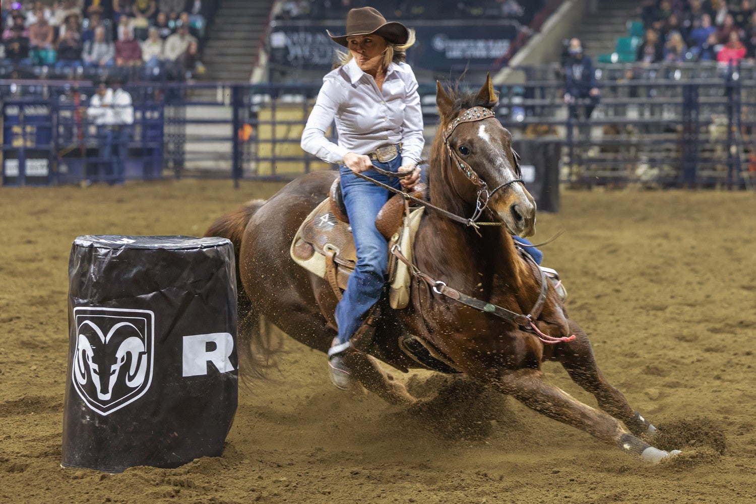 More Info for Colorado vs The World Rodeo: Pendleton Whisky Colorado Team Semi-Final